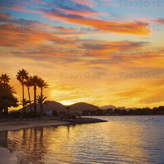Alcudia Majorca at sunset on the beach Mallorca Balearic islands