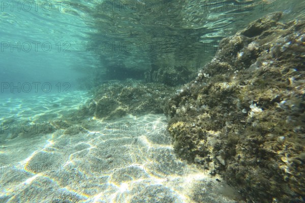Photo of underwater rocks, sand and stones. The beautiful sandy and rocky bottom of the sea