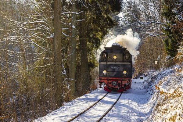Selketalbahn the Selketal under steam Harz narrow-gauge railway