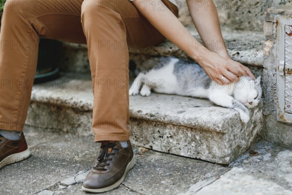 A man in brown trousers sits on the stone steps in the old town and strokes a lying gray cat, close-up .
