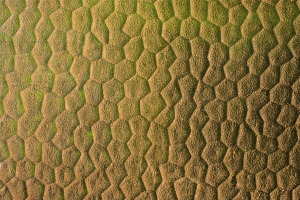 Abstract colorful glass texture as a background pattern