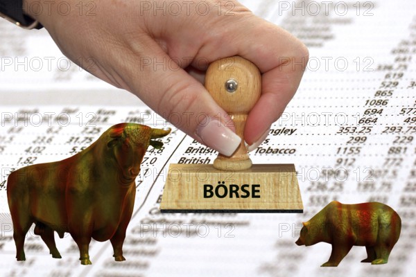 Bull and bear, symbolic figures of the stock market, Studio