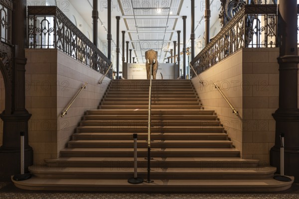 Brussels Capital Region, Belgium, 03 19 2022, Symmetric munumental staircase at the museum for Natural Science, Europe