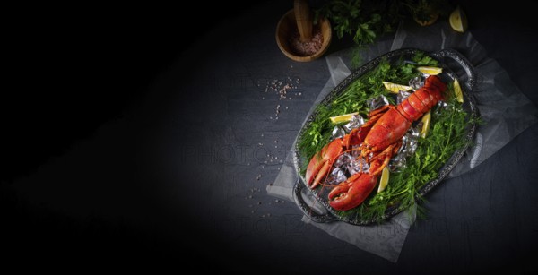 The cooked lobster on ice