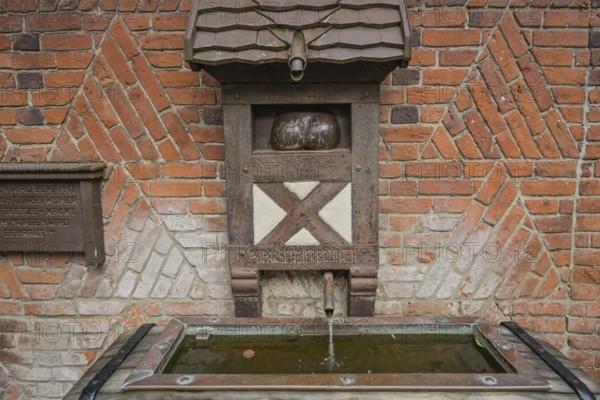Puparschbierbrunnen, Burgstraße, Old Town, Salzwedel, Saxony-Anhalt, Germany, Europe