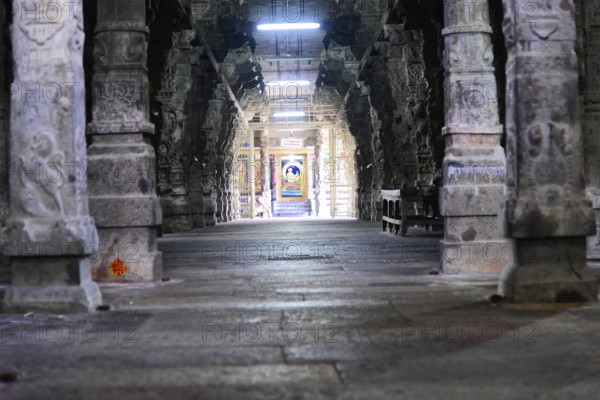 Ekambareshvara Temple, Kanchipuram, Tamil Nadu, Stone temple corridors with ornately decorated pillars, Kanchipuram, Tamil Nadu, South India, India, Asia