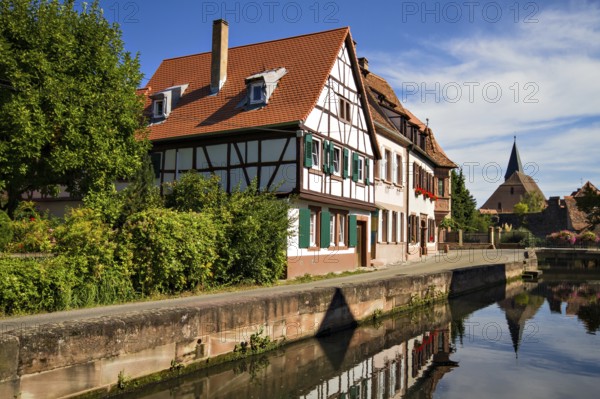 Half-timbered houses by a small river, Wissembourg, Alsace, France, Europe