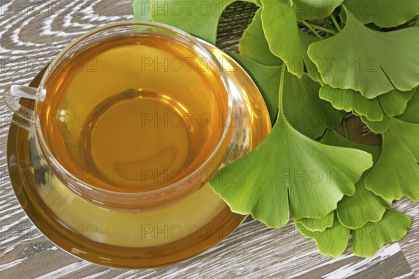 Cup of herbal tea with fresh ginkgo leaves on wooden background Cup of herbal tea with fresh ginkgo leaves on wooden background