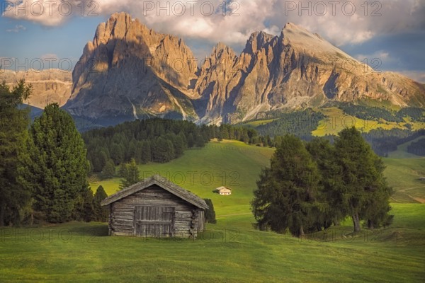 Seiser Alm with Langkofel group, South Tyrol, Dolomites, Italy, Europe