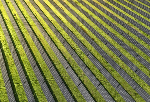Solar panels on field in summer, aerial drone view