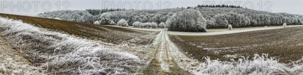 Beautiful panoramic shot of a landscape in winter in Central Hesse, Germany, Europe