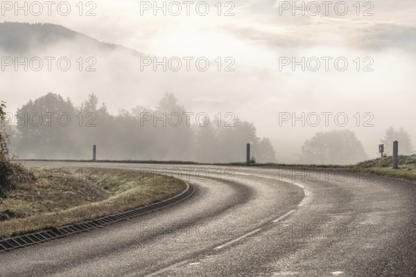 Bend on a wet road in the mountain. Vosges, France, Europe