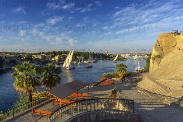 Beautiful landscape with felucca boats on Nile river in Aswan at sunset, Egypt, Africa