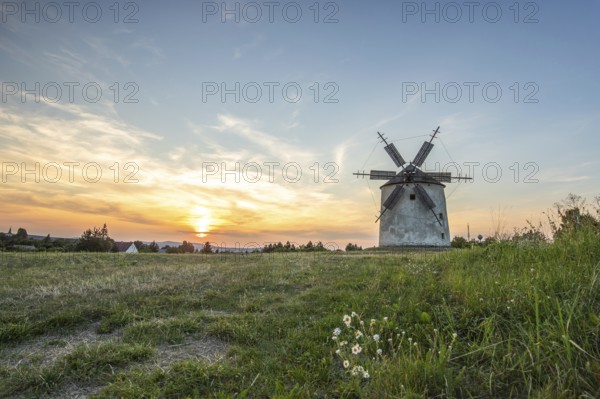 Windmill with wooden sails in a landscape with fields. Meadows and flowers appear in the sunset. Landscape shot in nature with a windmill. Historically atypical for the Balaton region in Hungary