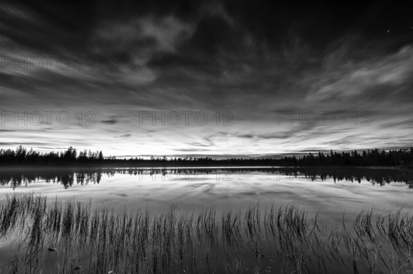 Evening mood at a forest lake, Norrbotten, Lapland, Sweden, August 2013, Europe