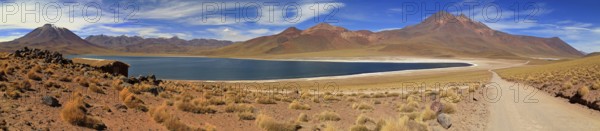 Laguna Miscanti and Laguna Miniques in the Atacama Desert in Chile