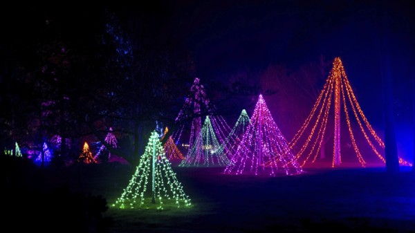 Wisley, Woking, Surrey, UK, November 19 : Christmas Glow 2022 at RHS Garden Wisley, Woking, Surrey, England, UK on November 19, 2022