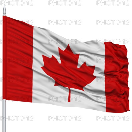 Canada Flag on Flagpole, Flying in the Wind, Isolated on White Background