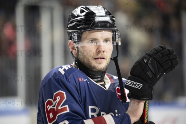 Laura Dick Cologne, LanxessArena, North Rhine-Westphalia, Parker Tuomie (Cologne Sharks, #62), PENNY DEL, Cologne Sharks-Augsburg Panthers on 08/12/2024 at the LanxessArena in Cologne Germany