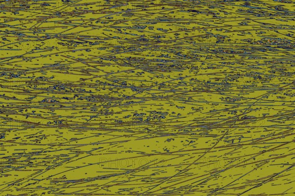 Decorative animal fur as a background texture
