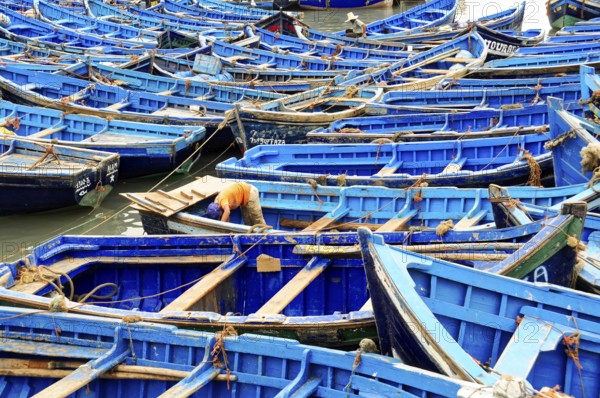 Essaouira, Morocco, North Africa, Africa, person working on blue fishing boats, ships in the background in the harbour, Africa