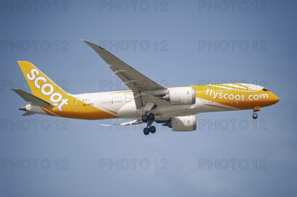 30.07.2023, Singapore, Republic of Singapore, Asia, A Scoot Airlines passenger aircraft of the type Boeing 787-8 Dreamliner with the registration 9V-OFD approaching Changi International Airport. Scoot is a low-cost airline from Singapore and a subsidiary of Singapore Airlines, Asia