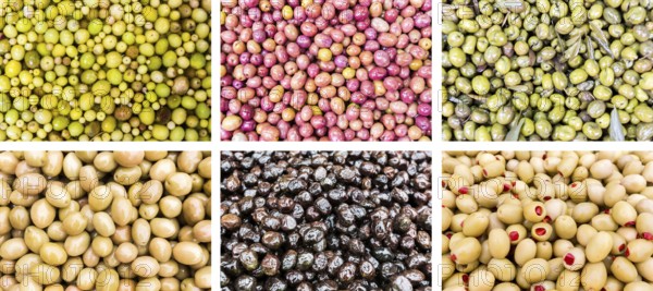 Photo collection of different colorful tasty olives