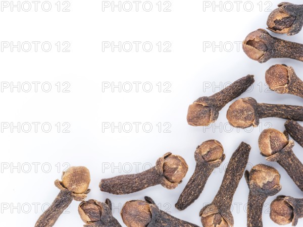 Cloves spice on white background with copy space. Isolated one edge. Top view or flat lay