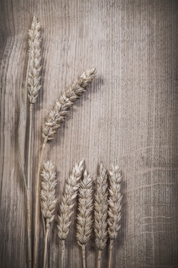 Composition of wheat rye ears on wooden board