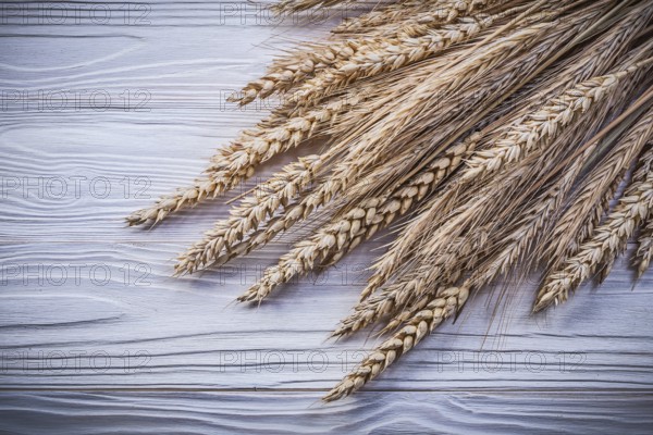 Heap of golden wheat rye ears on wooden board food and drink concept