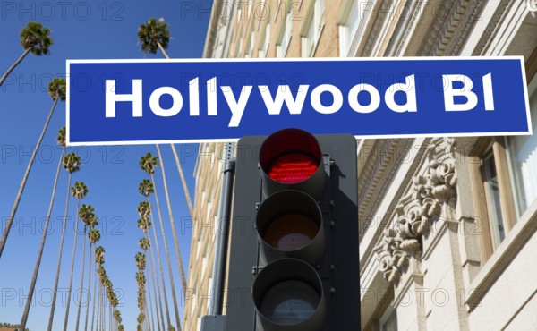 Hollywood Boulevard redlight sign illustration on palm trees background