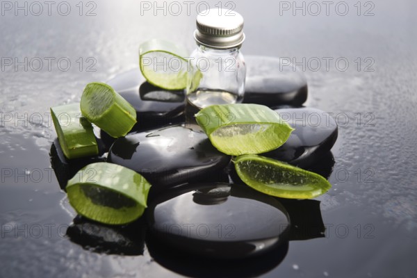 Sliced aloe leaves with oil on the stone, lodz, poland
