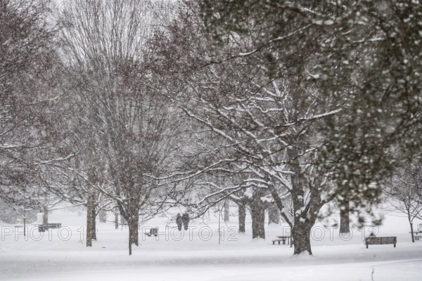 Heavy snow squalls of lake-effect snow falls over Springbank Park in London, Canada. Environment Canada predicted 25-35cm of snow would fall over the region in 24 hours in London, Ontario, Canada, North America