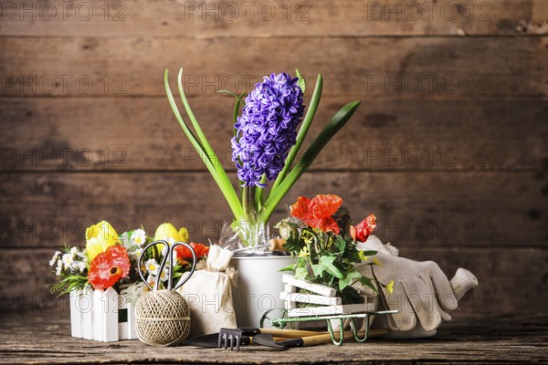 Garden tools for flowers over wooden background