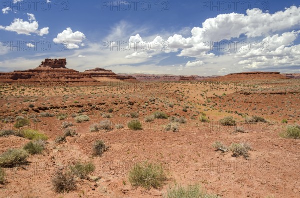 Scenic desert landscape with red mesas in the Valley of the Gods in Utah, United States, North America