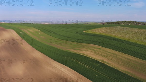 Aerial view of amazing green wavy hills with agricultural fields and vineyards in spring. South Moravia region, Czech Republic, Europe