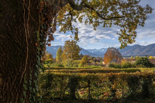 Autumn scenic with the view from the town Murnau to the alps