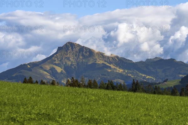 View to the Kitzbüheler Horn mountain in the alps of Austria