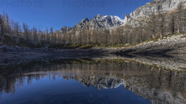 A tranquil mountain lake reflects the surrounding snow-capped mountains and clear blue sky, Lago Nero, Punta di Boccareccio 3207 m, Alpe Devero, Val d'Ossola, Province of Verbano-Cusio-Ossola, Piedmont, Italy, Europe