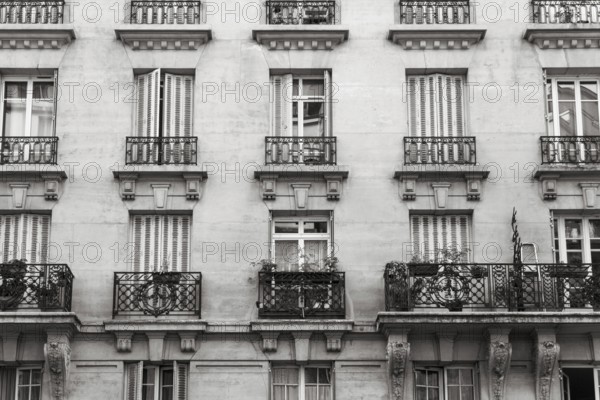 Symmetry of windows, shutters and balconies of a residential building in Paris, France, Europe