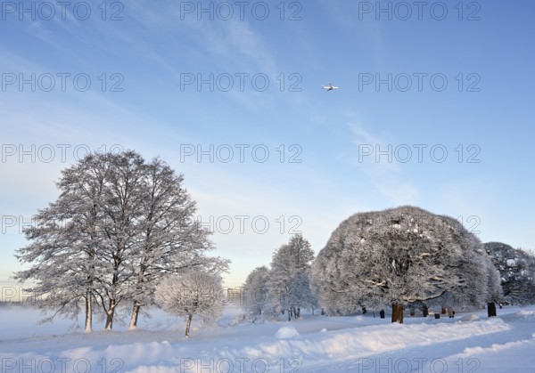 Beautiful winter landscape in the park on a sunny day, airplane in the blue sky, trees and bushes covered with snow