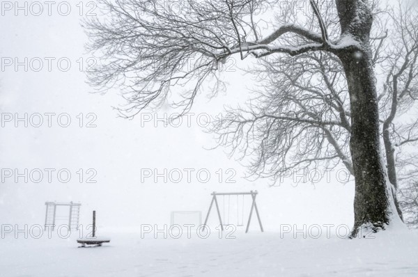 White winter landscape with a big leafless tree and an empty playground covered by snow, while snowing, on a gloomy day of February, in Germany