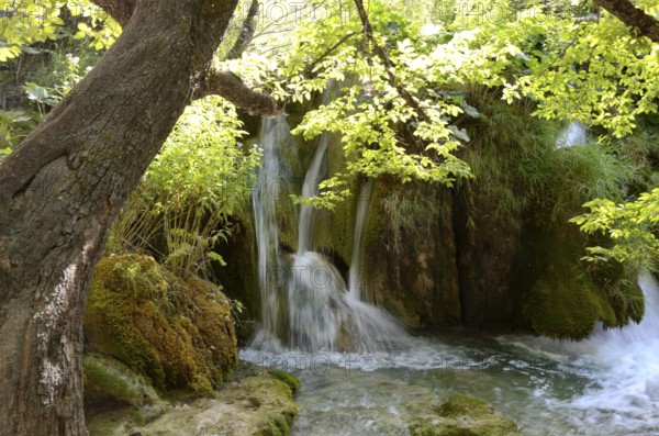 Beautiful landscape in the Plitvice Lakes National Park in Croatia