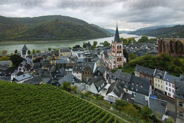 Half-timbered houses in a small village. Morning in the wine-growing region on the Rhine, Bacharach, Hesse, Germany, Europe