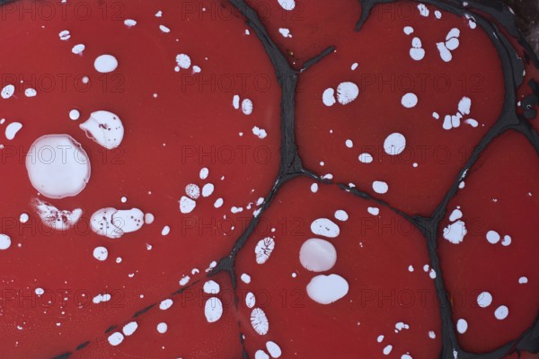 Beautiful abstract art of Ebru marbling painting techniques on water with paints