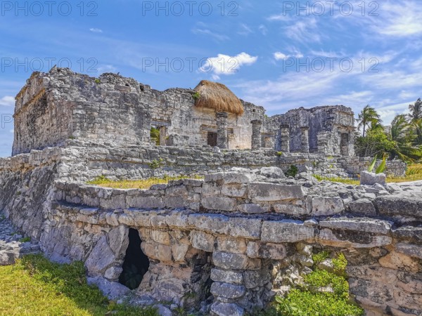 Ancient Tulum ruins Mayan site with temple ruins pyramids and artifacts in the tropical natural jungle forest palm and seascape panorama view in Tulum Mexico