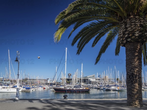 Urban marina view and pedestrian promenade in port vell area of barcelona spain