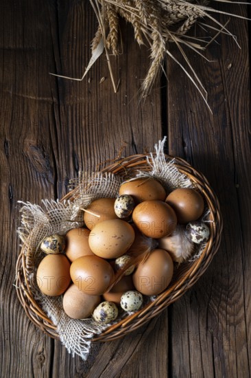 Fresh eggs straight from the farm in a basket