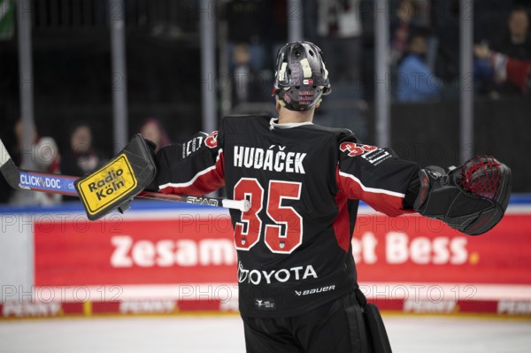 LanxessArena, Cologne, North Rhine-Westphalia, Julius Hudacek (Cologne Sharks, #35), PENNY DEL, Cologne Sharks-Düsseldorfer EG on 16/02/2025 at the LanxessArena in Cologne Germany