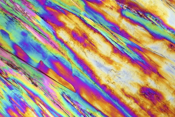 Vitamin B crystals under the microscope